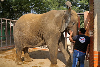 The Rise of Pakistan’s First Ethical Sanctuary