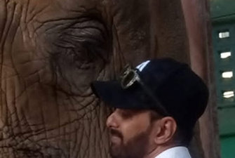 From Pain to Purpose