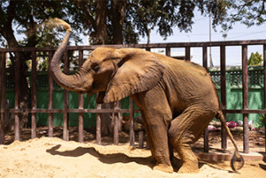 Education That Empowers