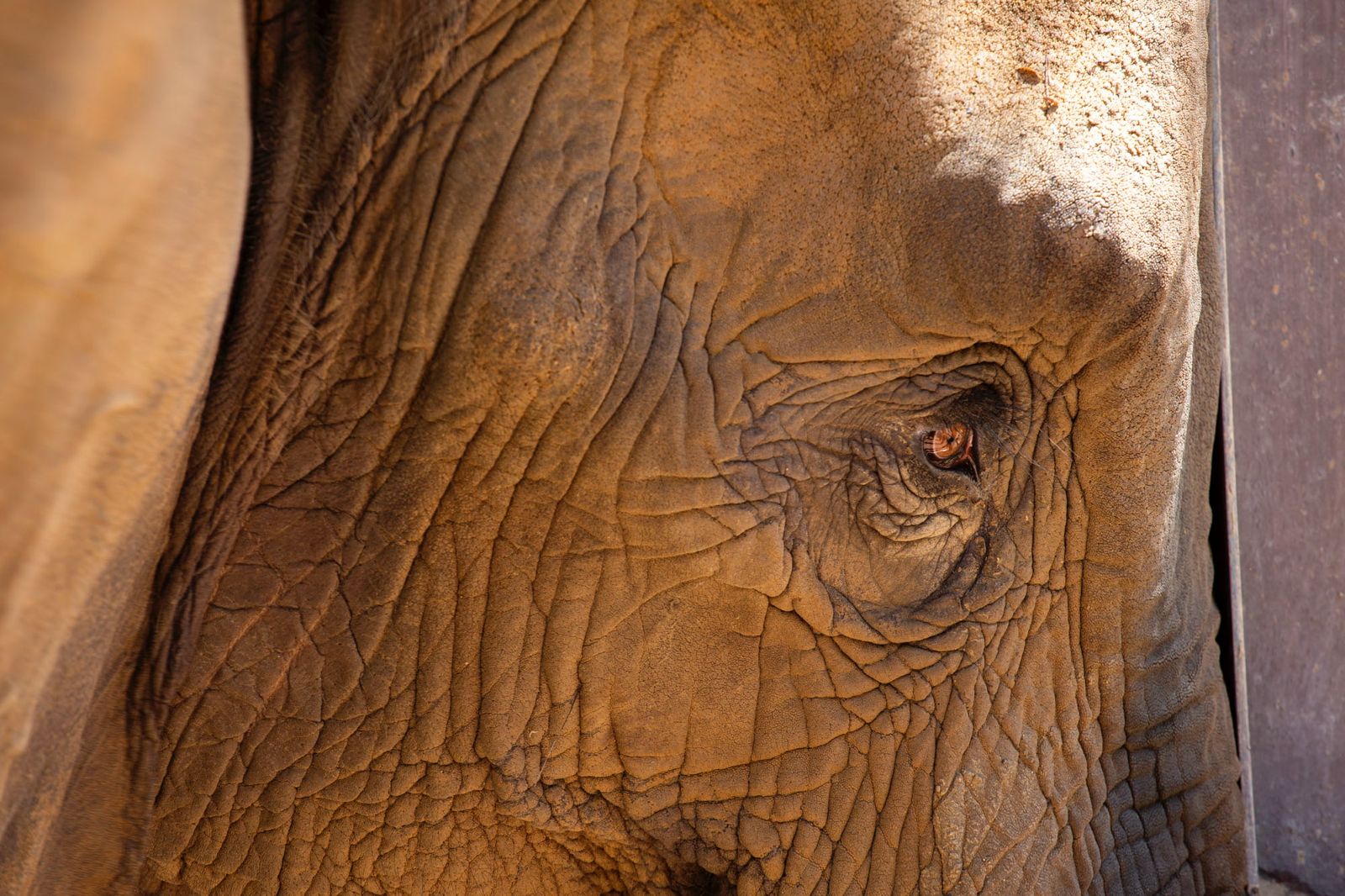 The Rise of Pakistan’s First Ethical Sanctuary